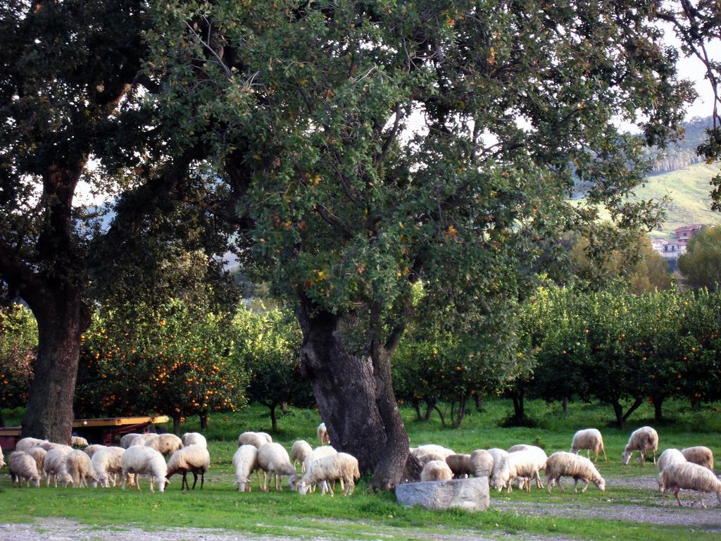 Barone Gr Macri Agriturismo Modi Джераче Екстериор снимка